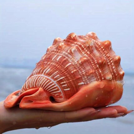 Decoração de Aquário: Concha | Enfeite de Concha Espiral Laranja Natural | Design Texturizado Realista para Ambientes Aquáticos Internos | Ideal para Paisagismo de Aquários e Decoração Com Tema Marinho, Acessório Aquático Interno | Concha Espiral Natural | Design Realista.