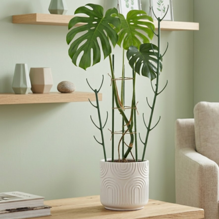 Kit 6 Suportes Empilháveis para Plantas Trepadeiras – Tutores Altos Ajustáveis para Monstera, Jiboia e Plantas Ornamentais.