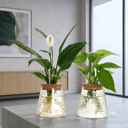 Estação de Propagação em Vidro Premium – Cultive Mudas com Elegância e Decore Qualquer Ambiente.