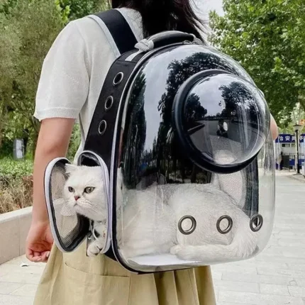 Mochila Transparente Dobrável para Gatos e Cães | Transporte Respirável e Portátil para Viagens